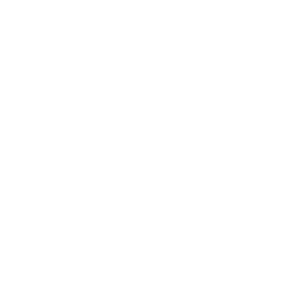 DVVDV WIT